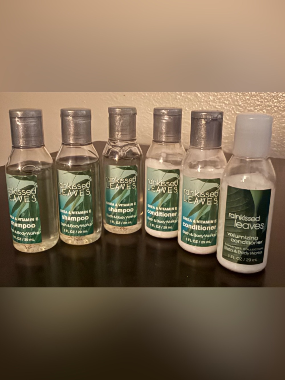 Bath & Body Works Rainkissed Leaves Shampoo & Conditioner Travel Minis 6-Piece - Picture 2 of 2
